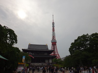 GW'16 増上寺