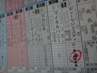 第83回 東京優駿