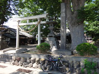 白鳥神社'16