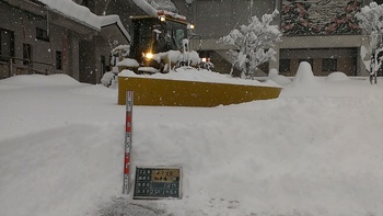 飯山68センチ