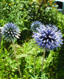 今日は通院日でした・・・・・697