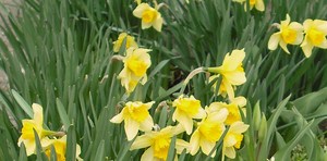 ここだけの話・・・・・513
