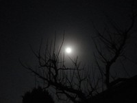 満月に思う