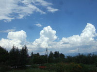 夏の雲
