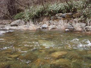 今日は木曽川水系。