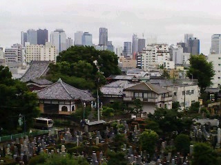 実家からの景色