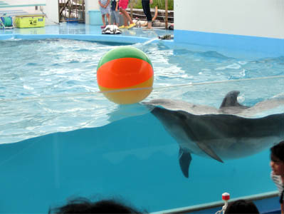 改めて☆長野観光！この日は新潟だけど。。上越水族館♪