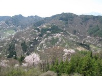 桜仙峡