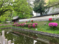 5/12（月）松尾祭
