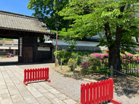 5/13（火）5月