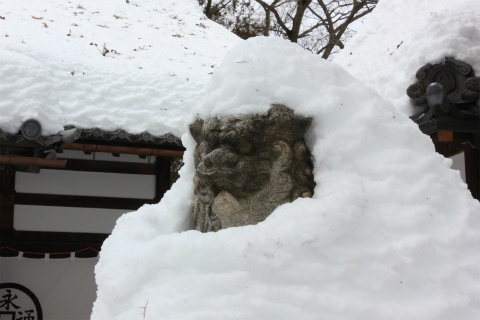 記録的大雪 雪の上田城！