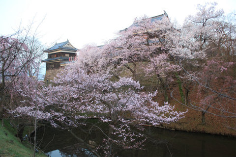 10周年！上田城千本桜まつり今日から開宴！