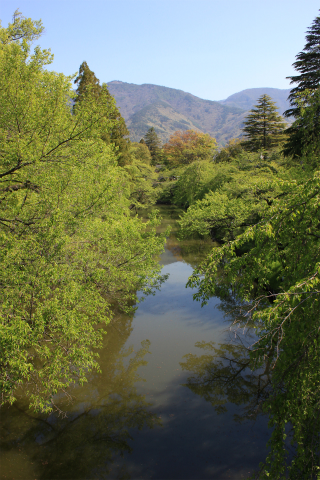 新緑の季節！上田城跡公園 新緑もきれいです！