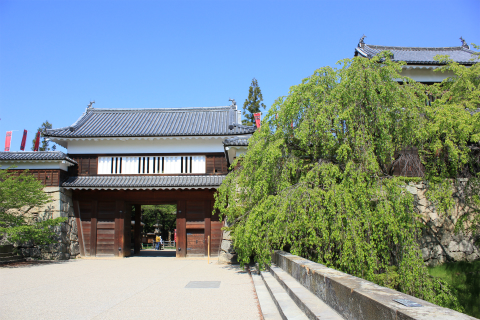 新緑の季節！上田城跡公園 新緑もきれいです！