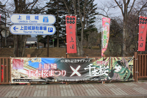 上田城前に上田城千本桜×初音ミク・千本桜タイアップ横断幕登場！