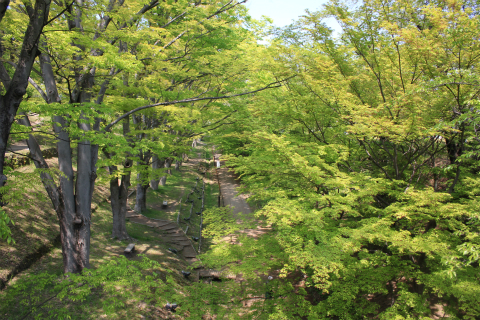 新緑の季節！上田城跡公園 新緑もきれいです！