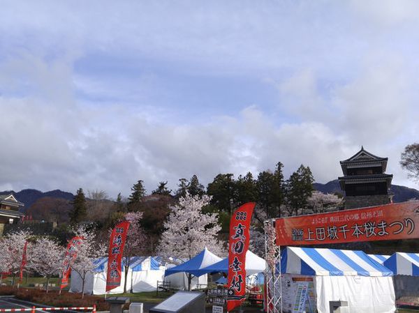 上田城千本桜まつり