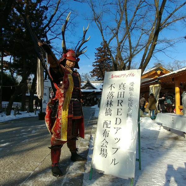 【地域】真田神社にて「不落林檎」がプレゼント！開始30分で終了となる好評ぶり