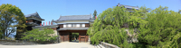新緑の季節！上田城跡公園 新緑もきれいです！