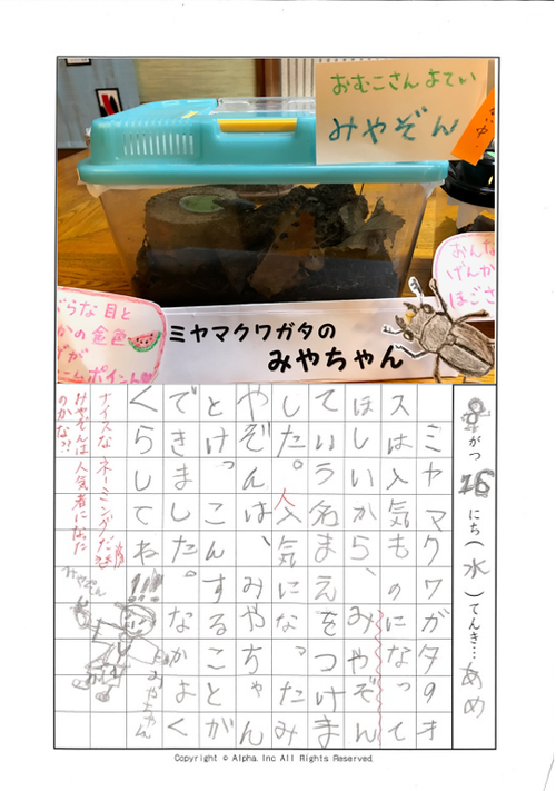 おわらないしゅくだい