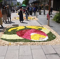 善光寺花回廊2019