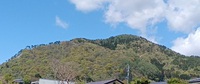 25年４月29日の山笑ふ
