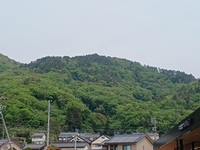 2025年５月14日安茂里