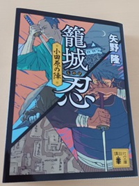 矢野隆　籠城　忍　小田原の陣　読書８冊目