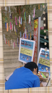 星に願いを・・・☆彡