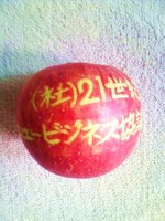エルター登録:スーパームーン_♉の満月