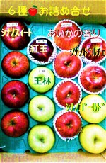 王林特選、完売&売れ筋★ランキング