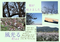 「おし」って？