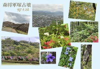 森将軍塚古墳