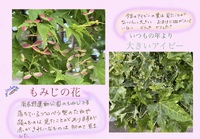 頭痛