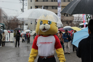 信州プロレス＆あっぷる学園応援部登場！でも・・・