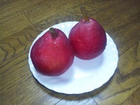 塩尻の果物