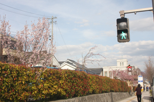 春だ春なんだな～～～～