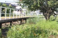 飯山線　信濃浅野駅12