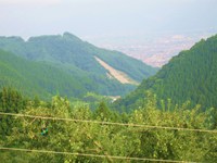 墓場