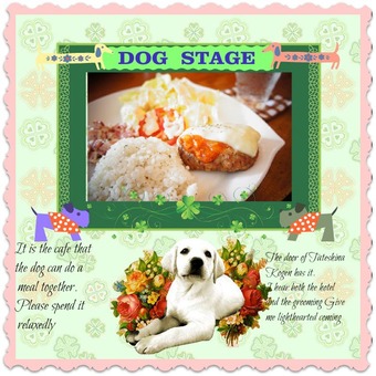 DOG  STAGE(ﾄﾞｯｸ･ｽﾃｰｼﾞ)