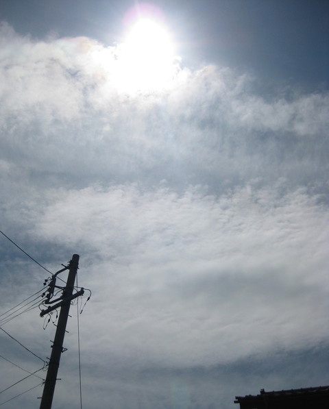 美しい彩雲