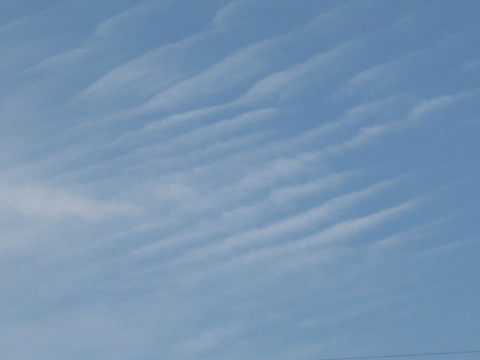 美しい彩雲