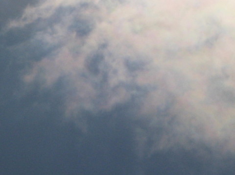 美しい彩雲
