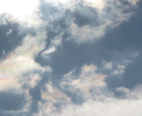 美しい彩雲