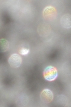 雪の宝石