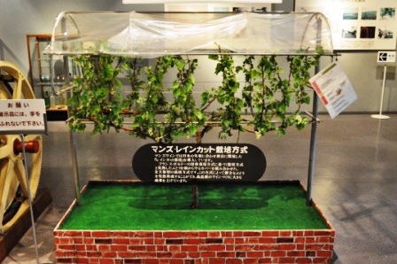 そろそろ本腰入れないと