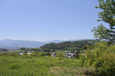 出張森カフェ：かまばの森で遊ぶ会