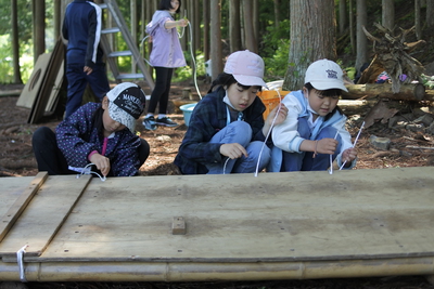 わおん♪キャンプ2023　春・初夏編　ツリーハウスキャンプ３回目の報告