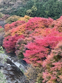 11月最終日