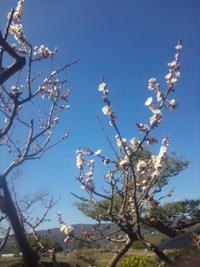 奏龍味噌イベお疲れ様でした